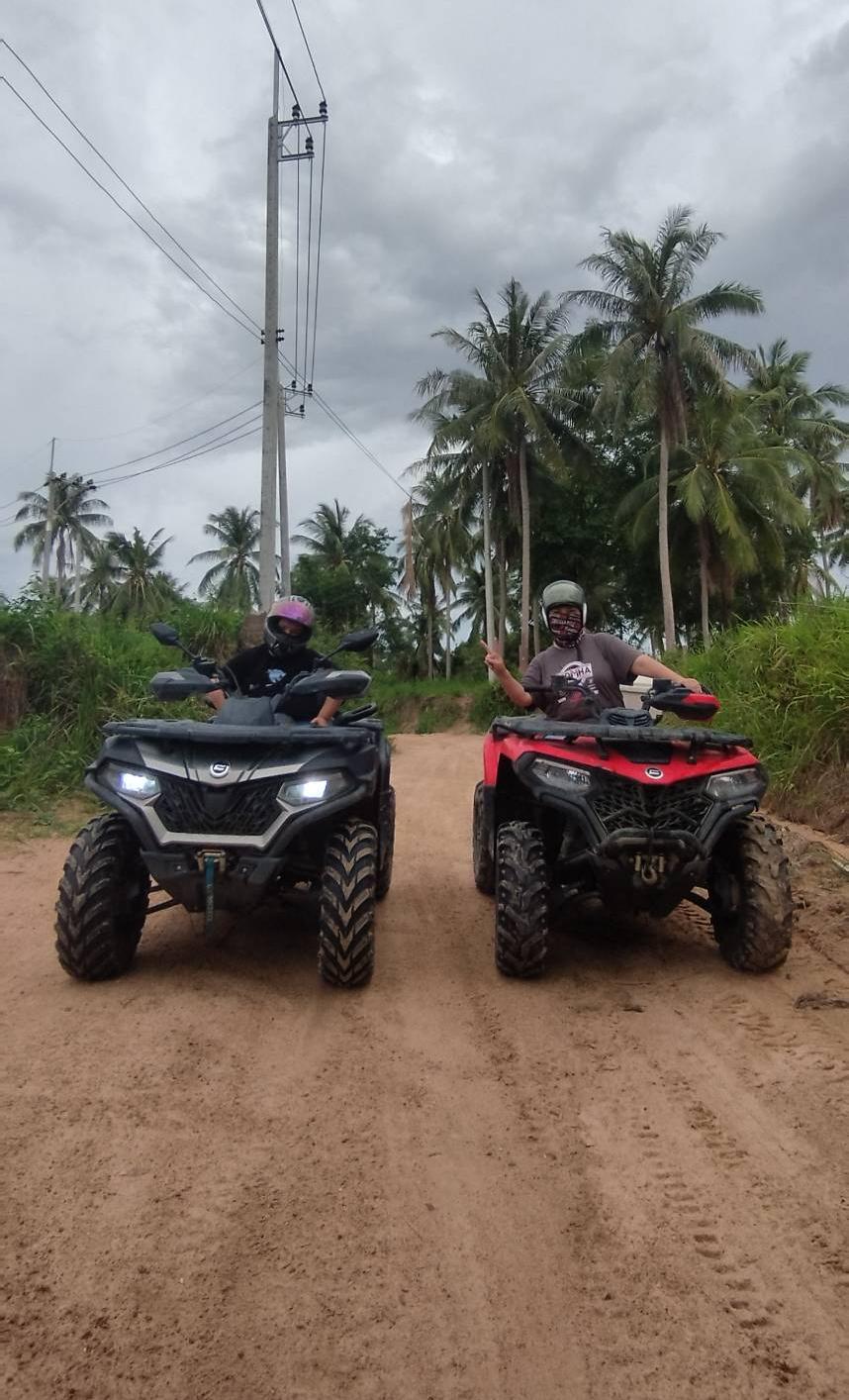 Квадроциклы ATV